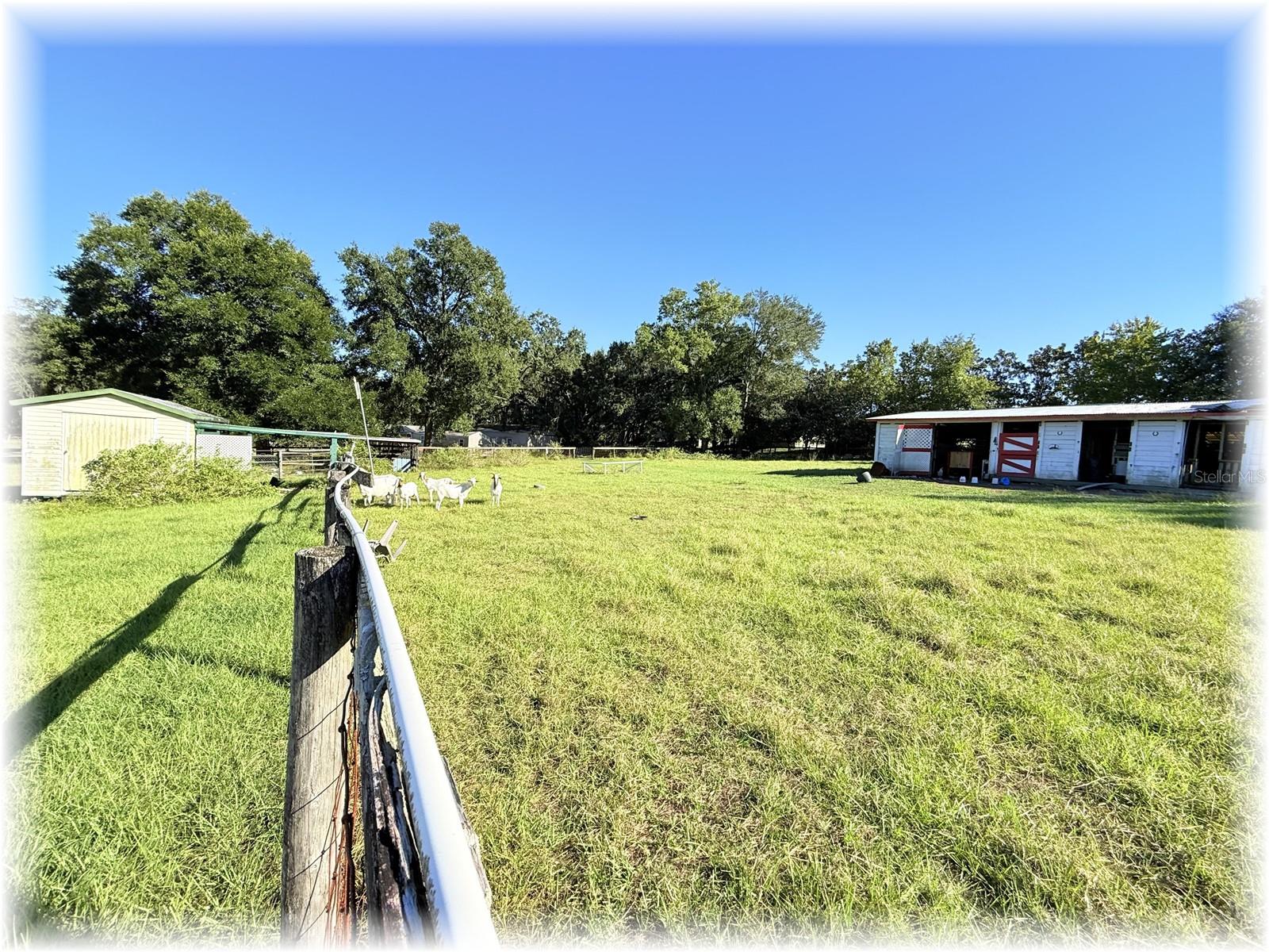 Image 29 of 34 For 10774 166 Lane