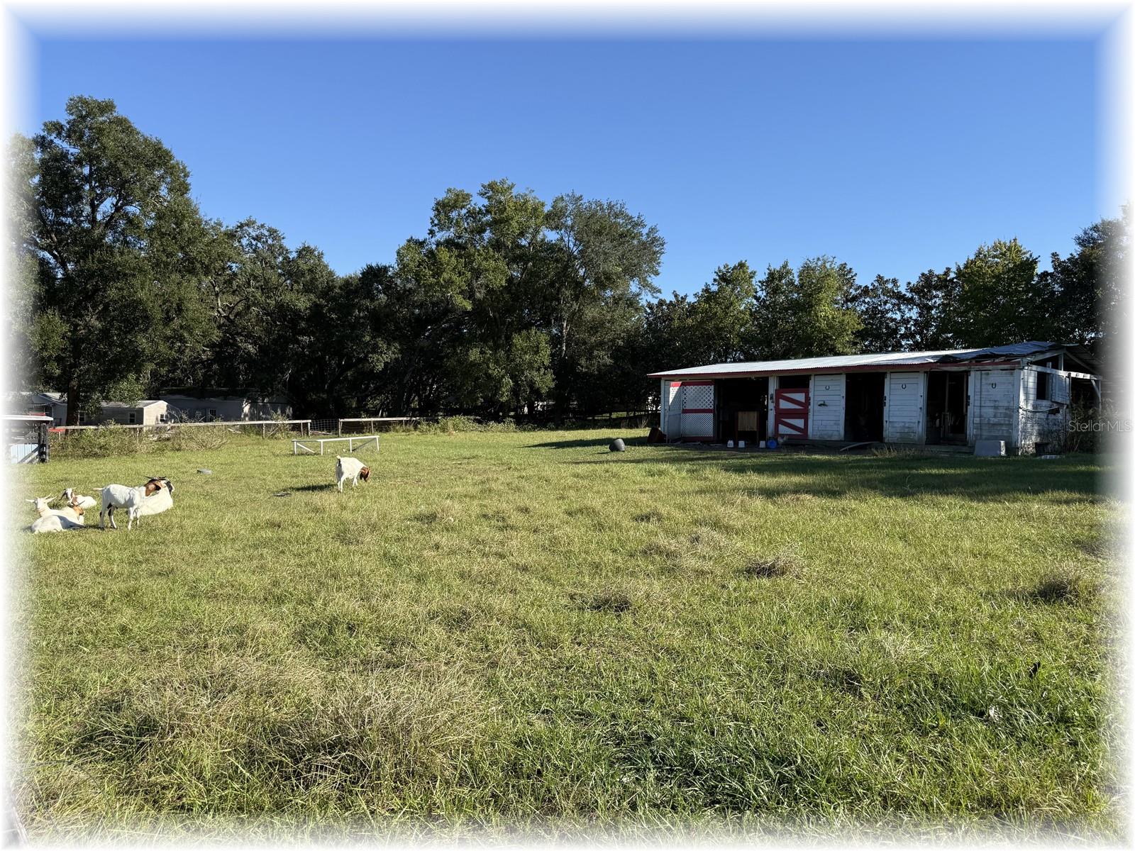 Image 30 of 34 For 10774 166 Lane