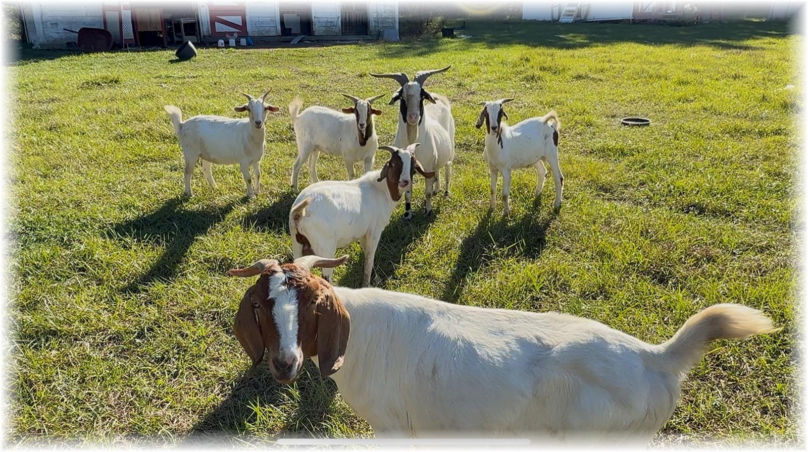 Image 31 of 34 For 10774 166 Lane