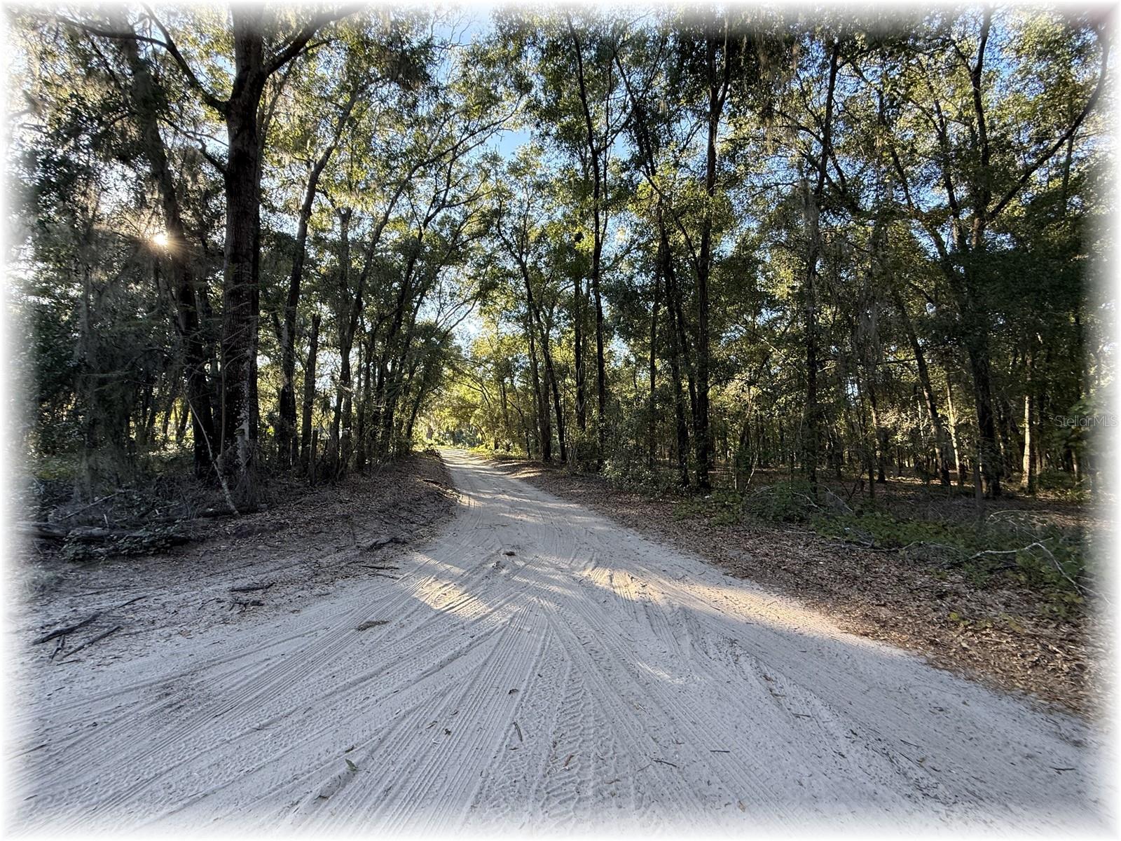 Image 34 of 34 For 10774 166 Lane