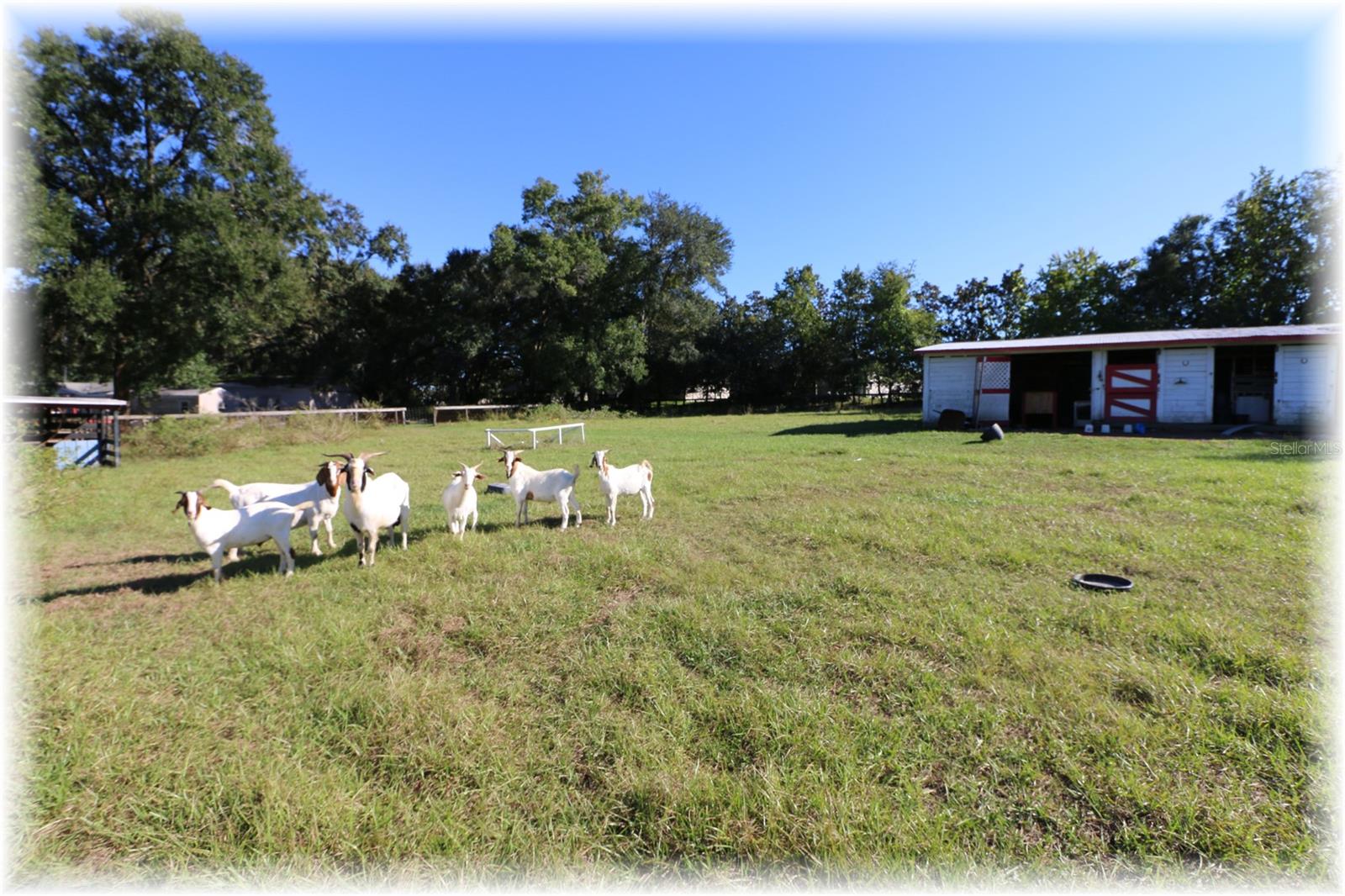 Image 4 of 34 For 10774 166 Lane