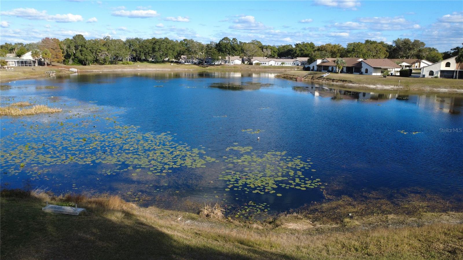 Listing photo id 30 for 8050 Roxburgh Court