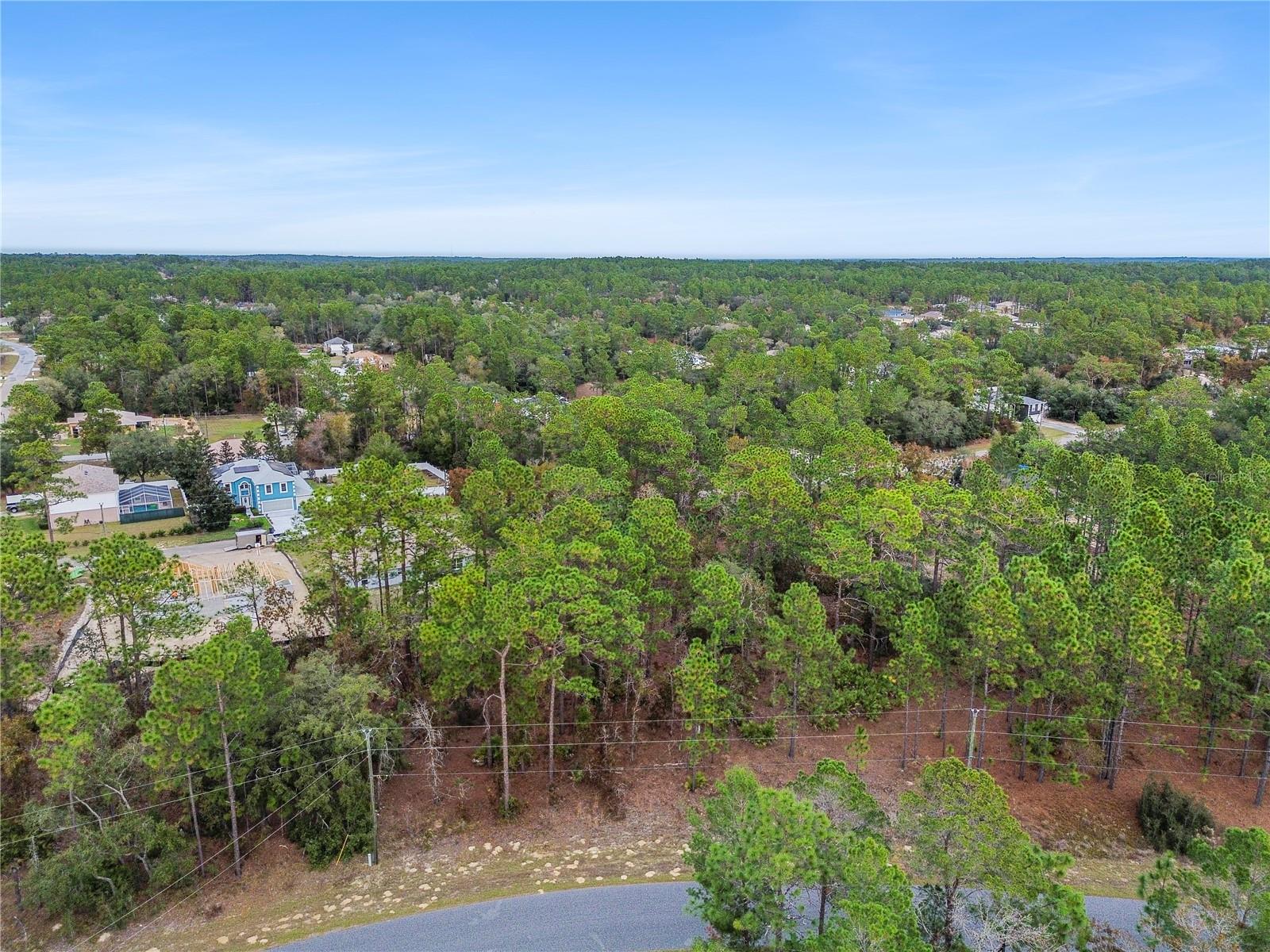 Image 5 of 22 For 1891 Riley Drive