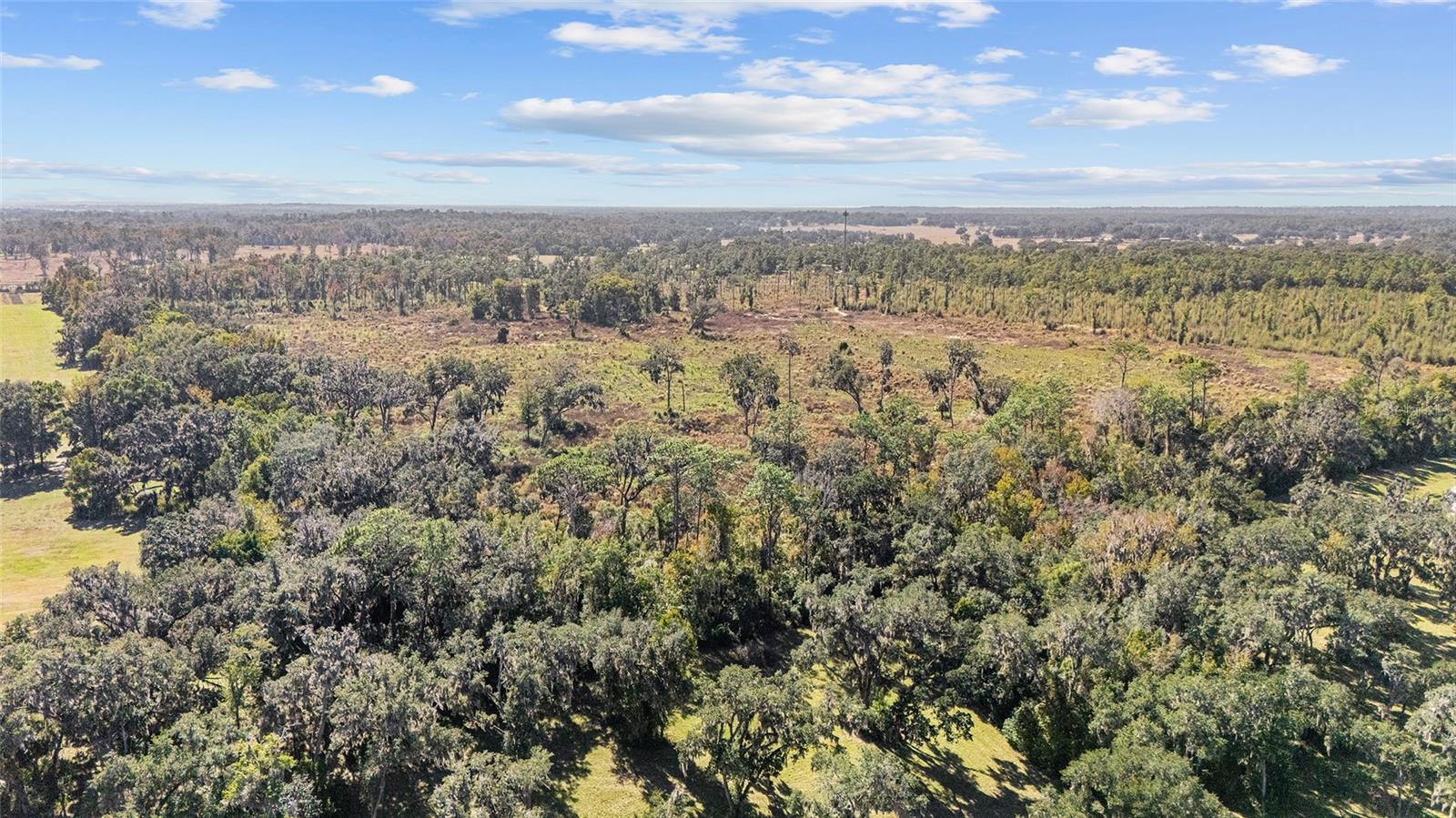 Image 8 of 27 For 1 Petition 4261-1