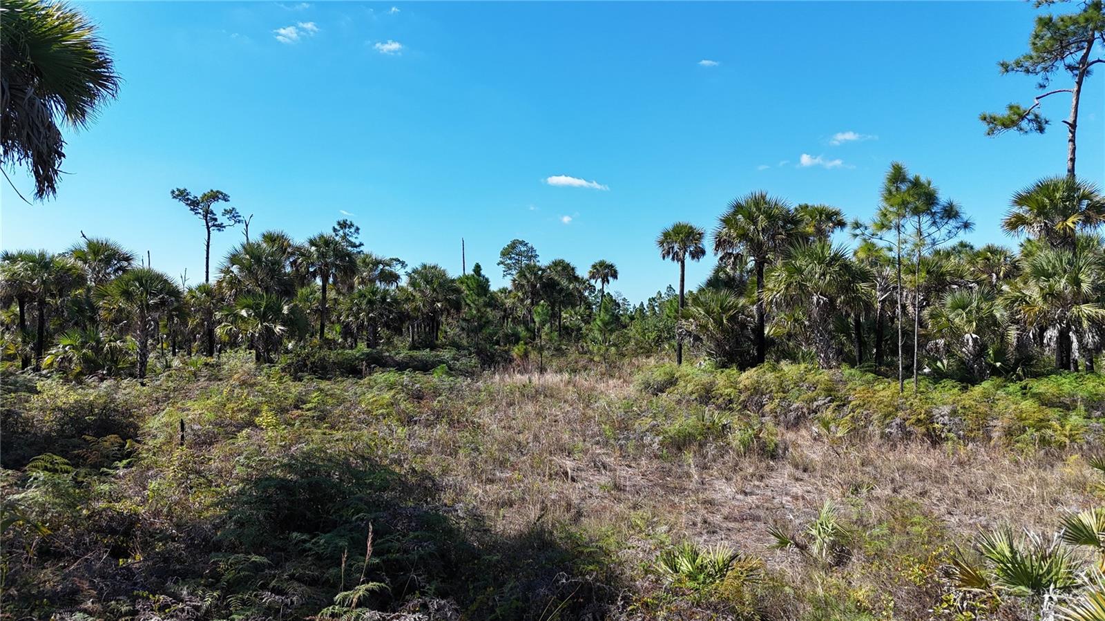 Image 15 of 36 For  Na  