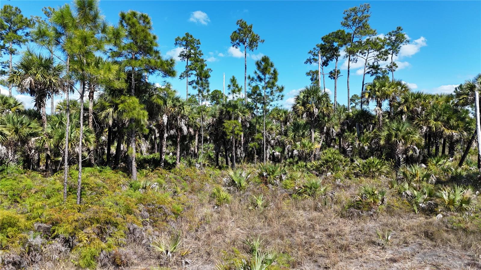 Image 16 of 36 For  Na  