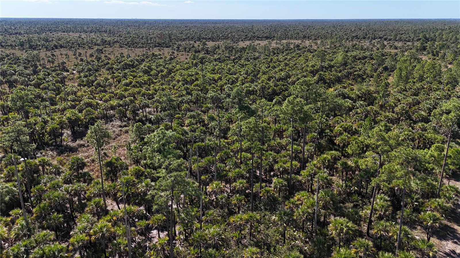 Image 17 of 36 For  Na  