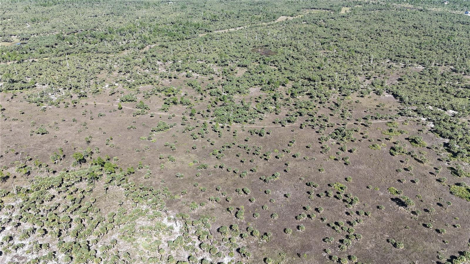 Image 22 of 36 For  Na  