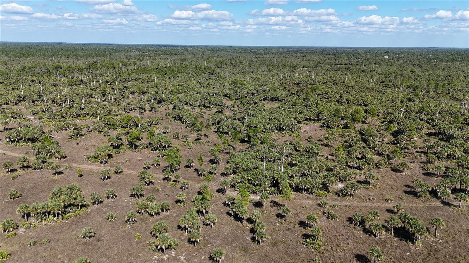 Image 23 of 36 For  Na  