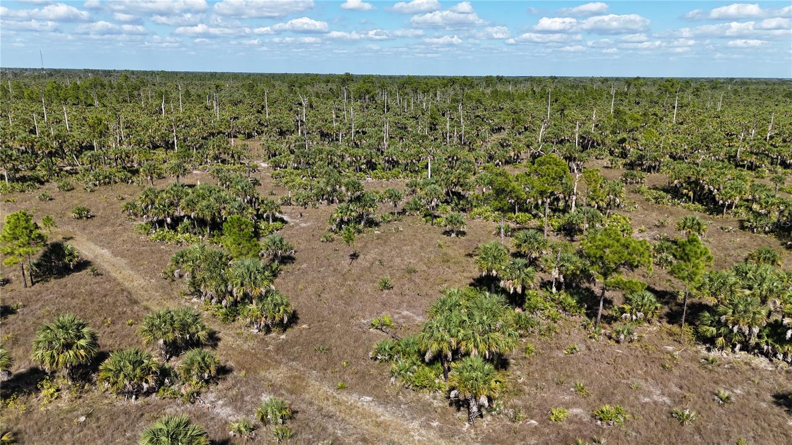 Image 24 of 36 For  Na  