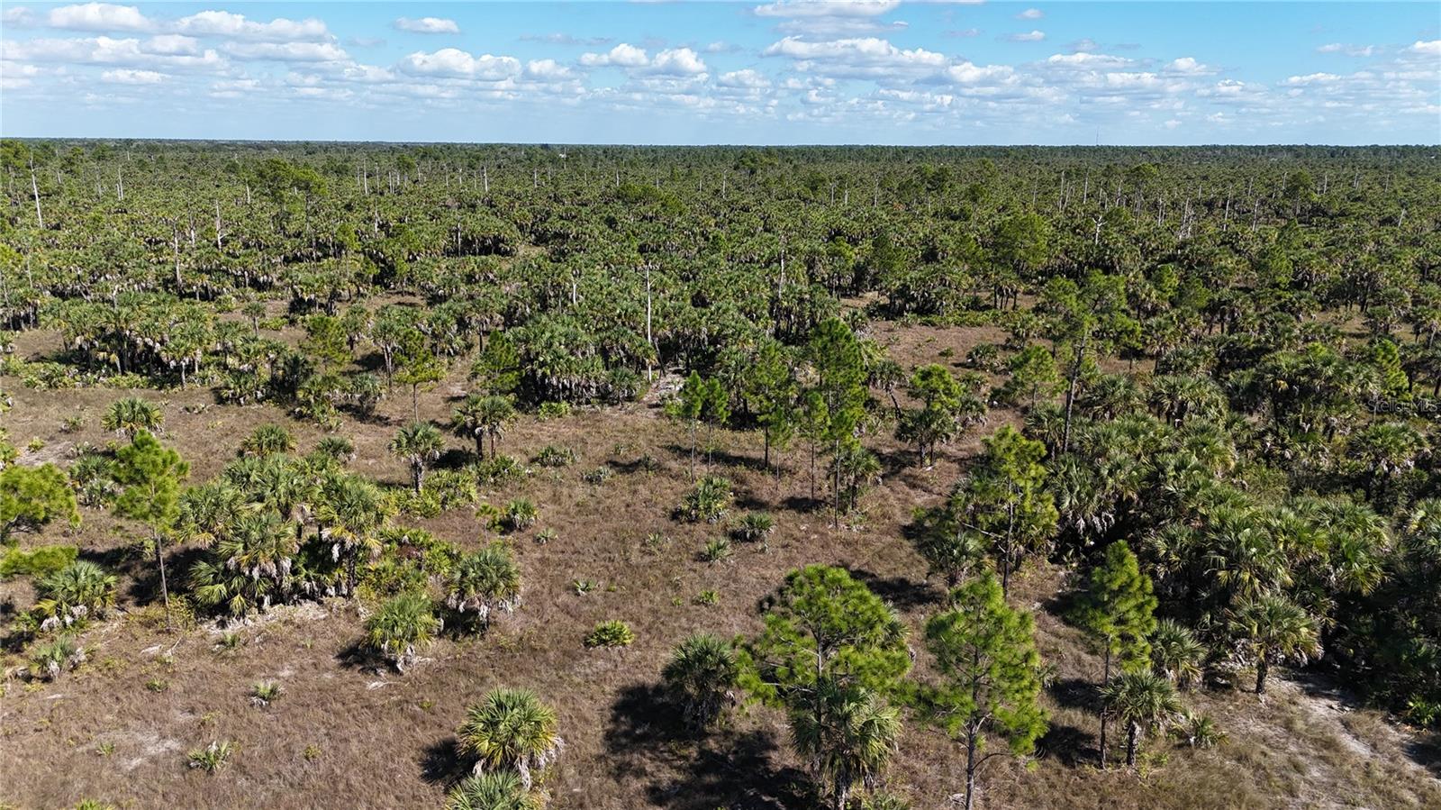 Image 25 of 36 For  Na  