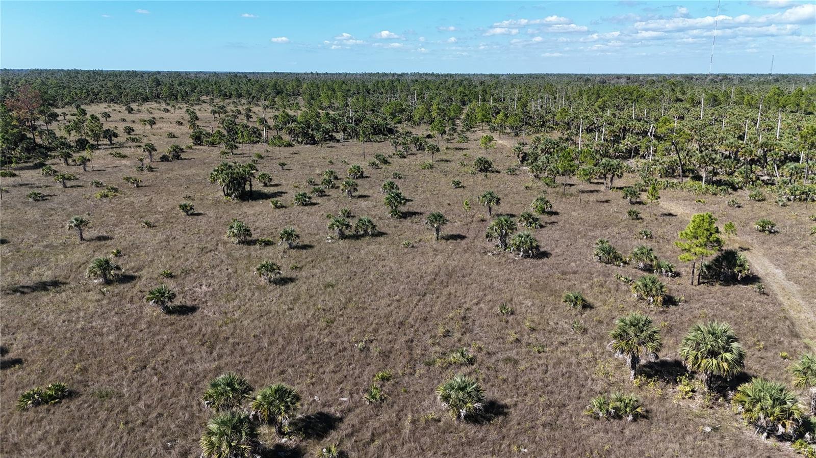 Image 26 of 36 For  Na  