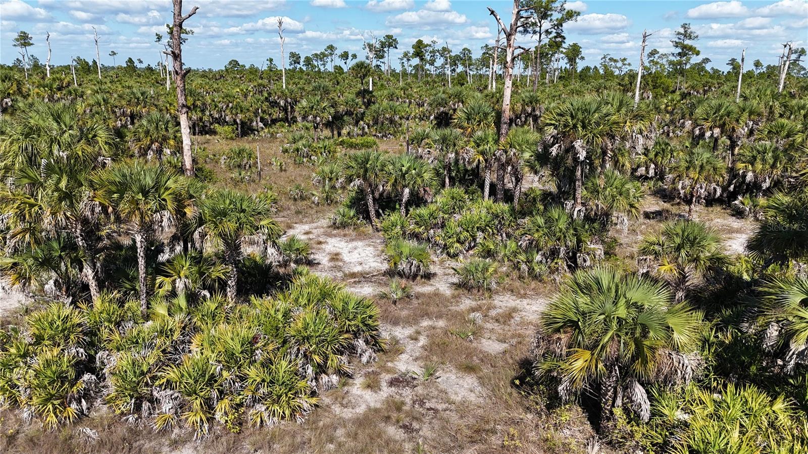 Image 28 of 36 For  Na  