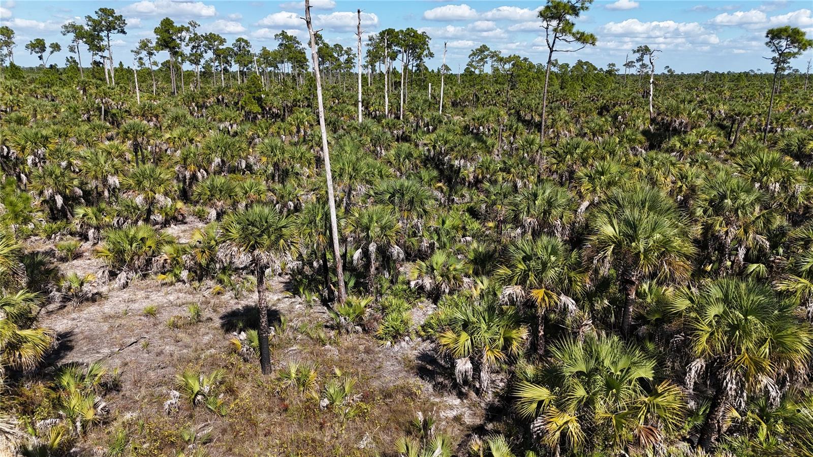 Image 29 of 36 For  Na  