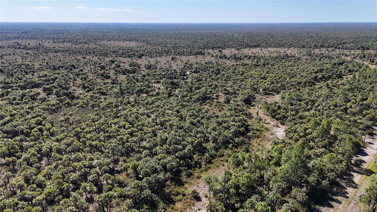 Image 3 of 36 For  Na  