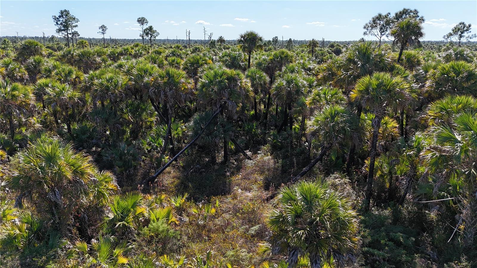 Image 30 of 36 For  Na  