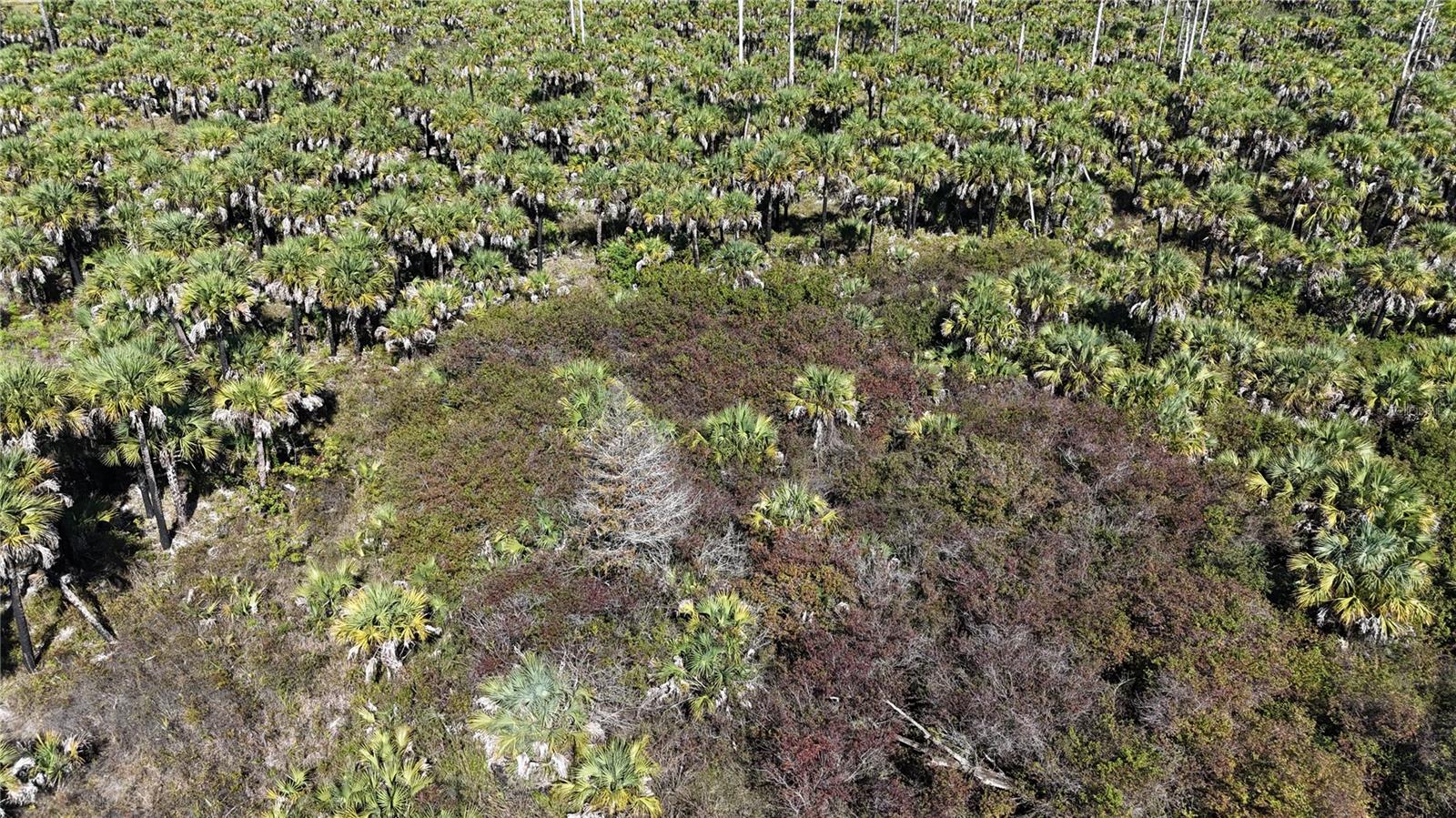 Image 31 of 36 For  Na  