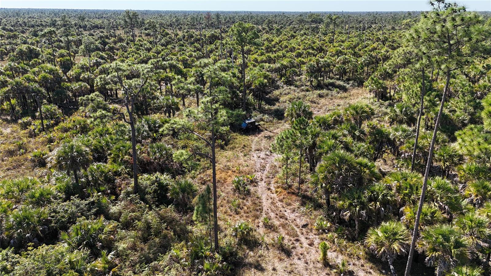 Image 32 of 36 For  Na  