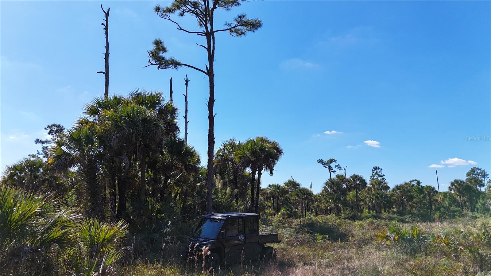 Image 34 of 36 For  Na  