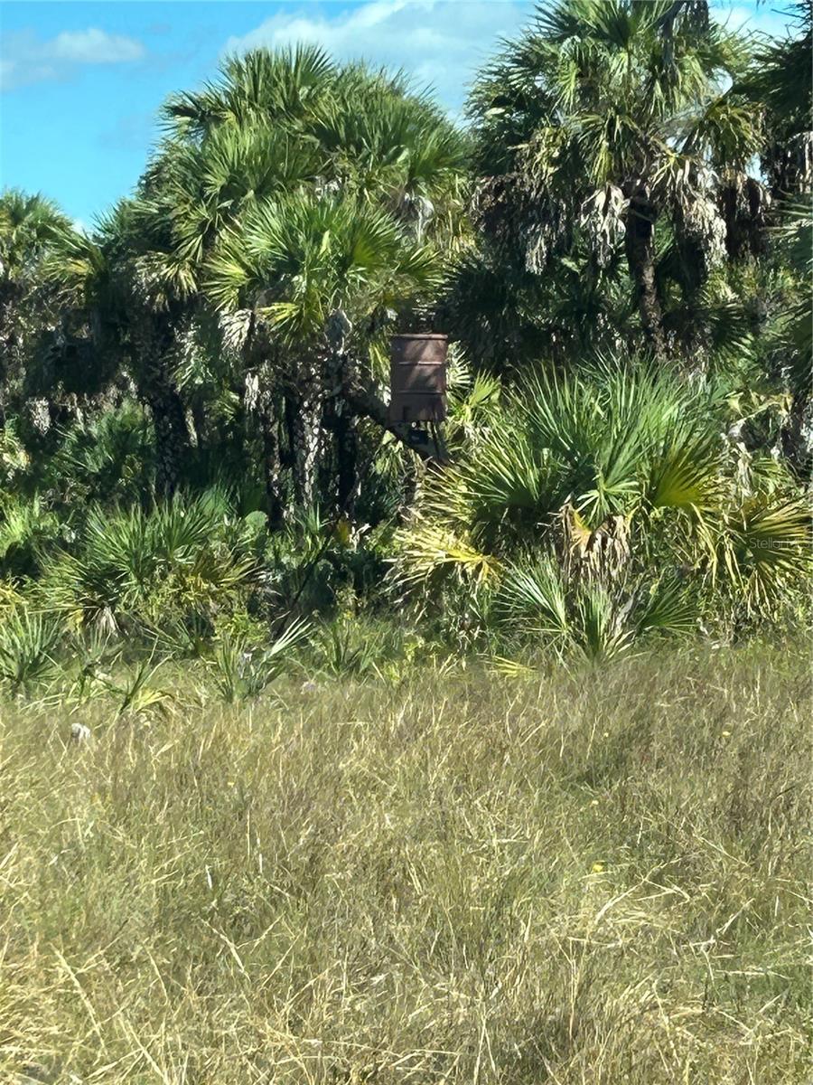 Image 35 of 36 For  Na  