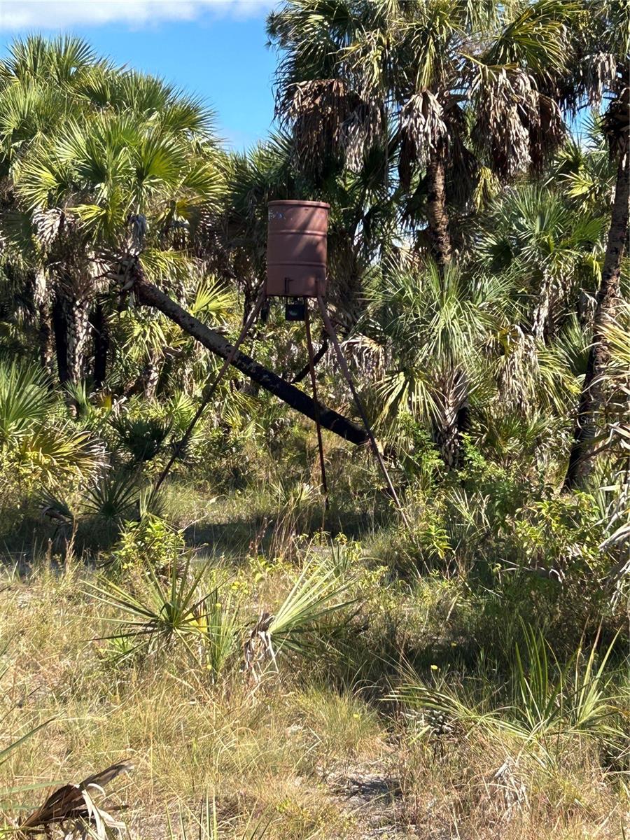 Image 36 of 36 For  Na  