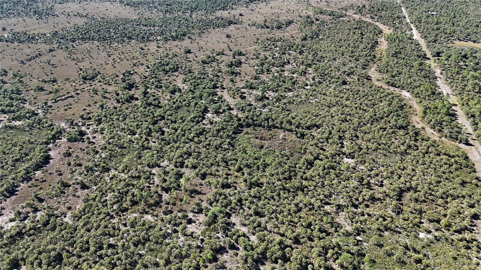 Image 7 of 36 For  Na  