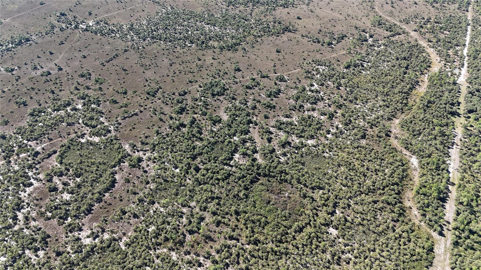 Image 8 of 36 For  Na  