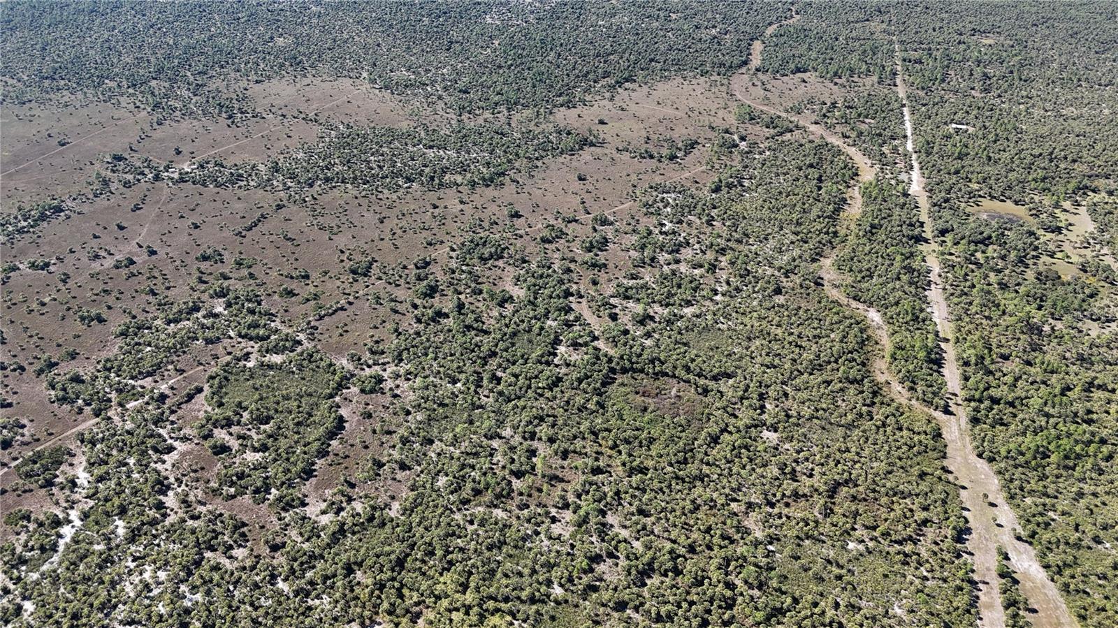 Image 9 of 36 For  Na  