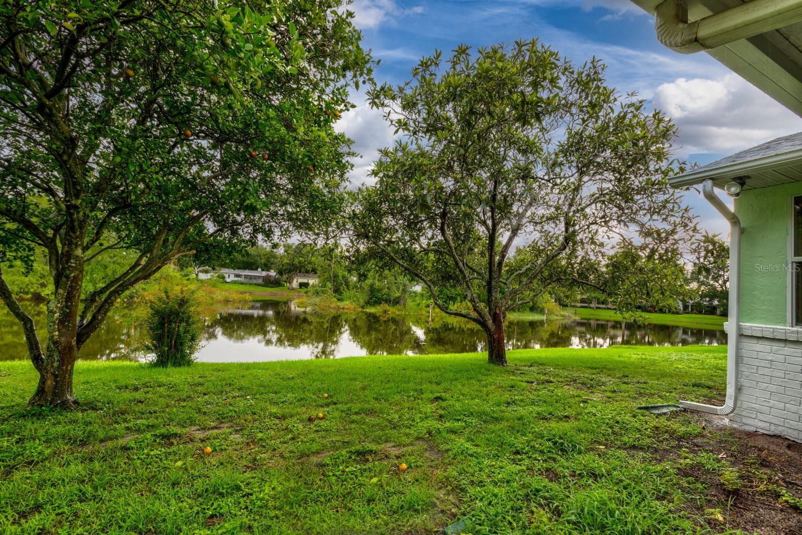 Image 28 of 40 For 16 Easter Ross Court