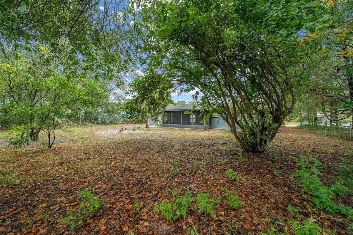 Image 30 of 46 For 3171 Shallowford Street