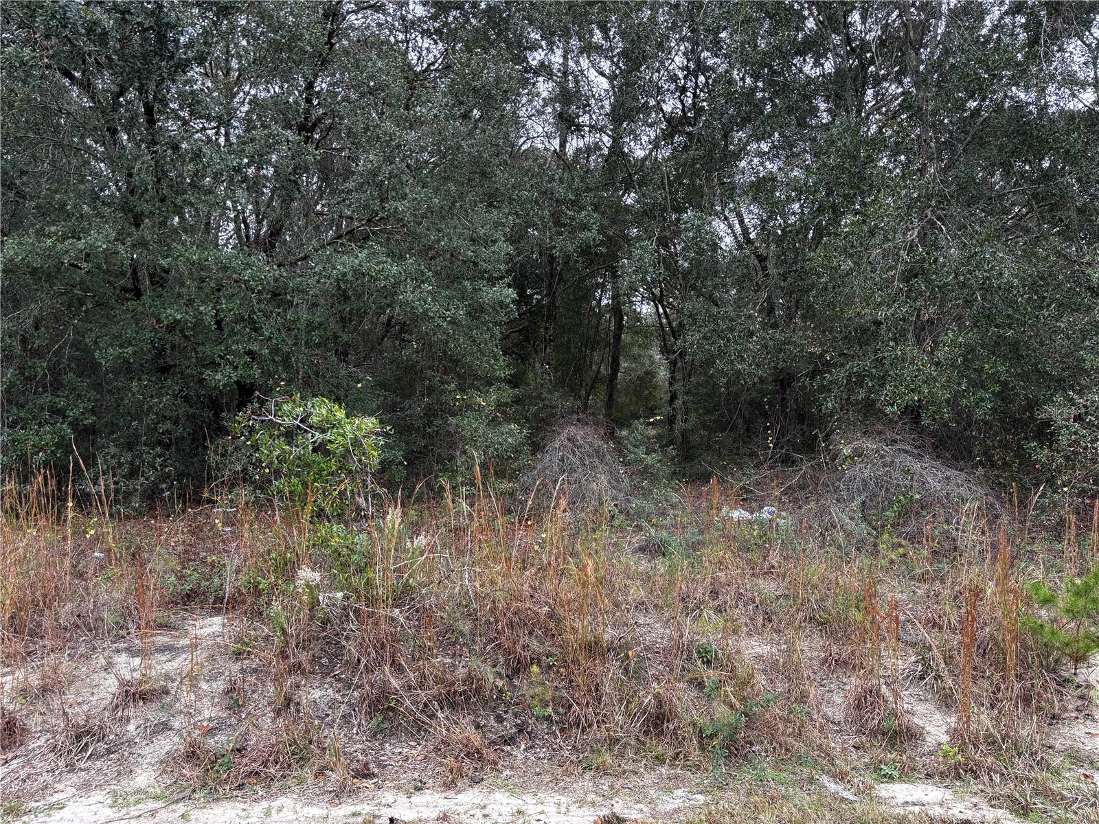 Image 2 of 2 For 115th Place Road