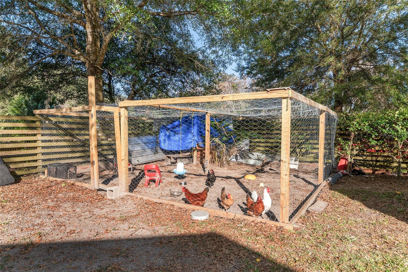 Image 61 of 69 For 14376 State Road 45