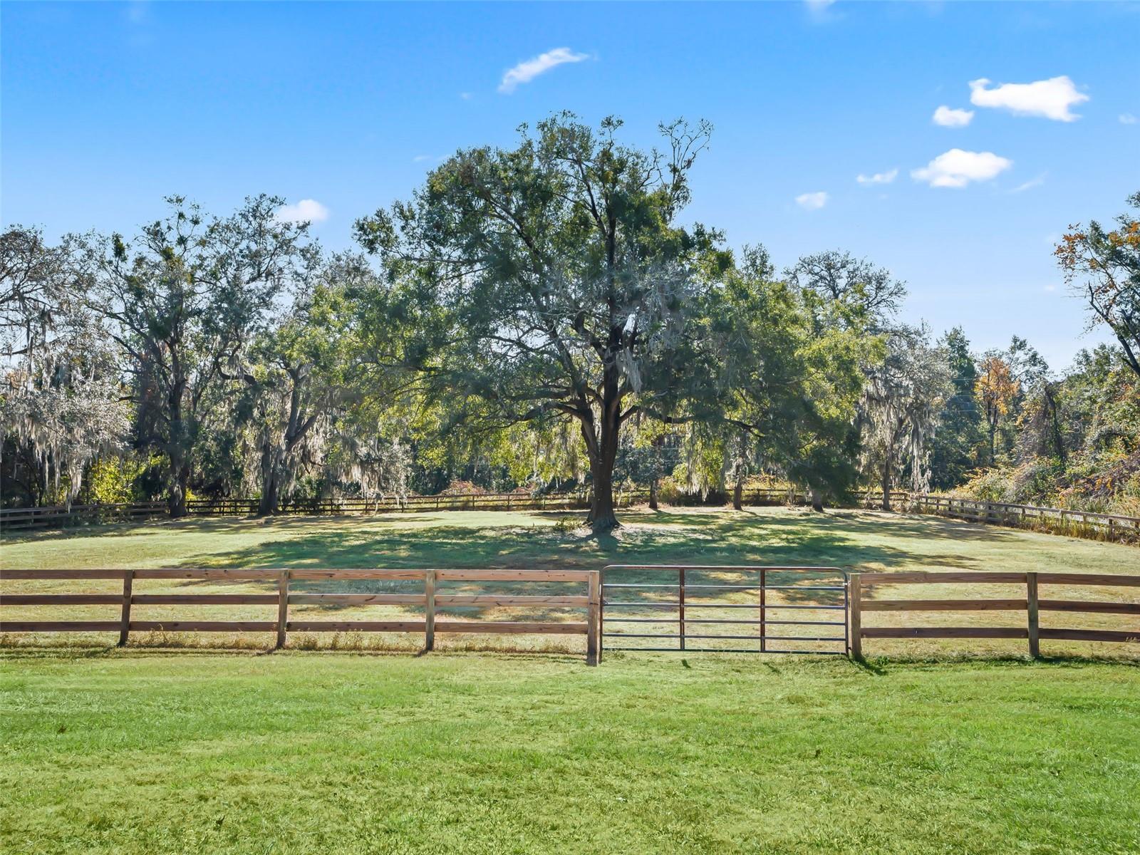 Image 25 of 41 For 16634 47th Place Road