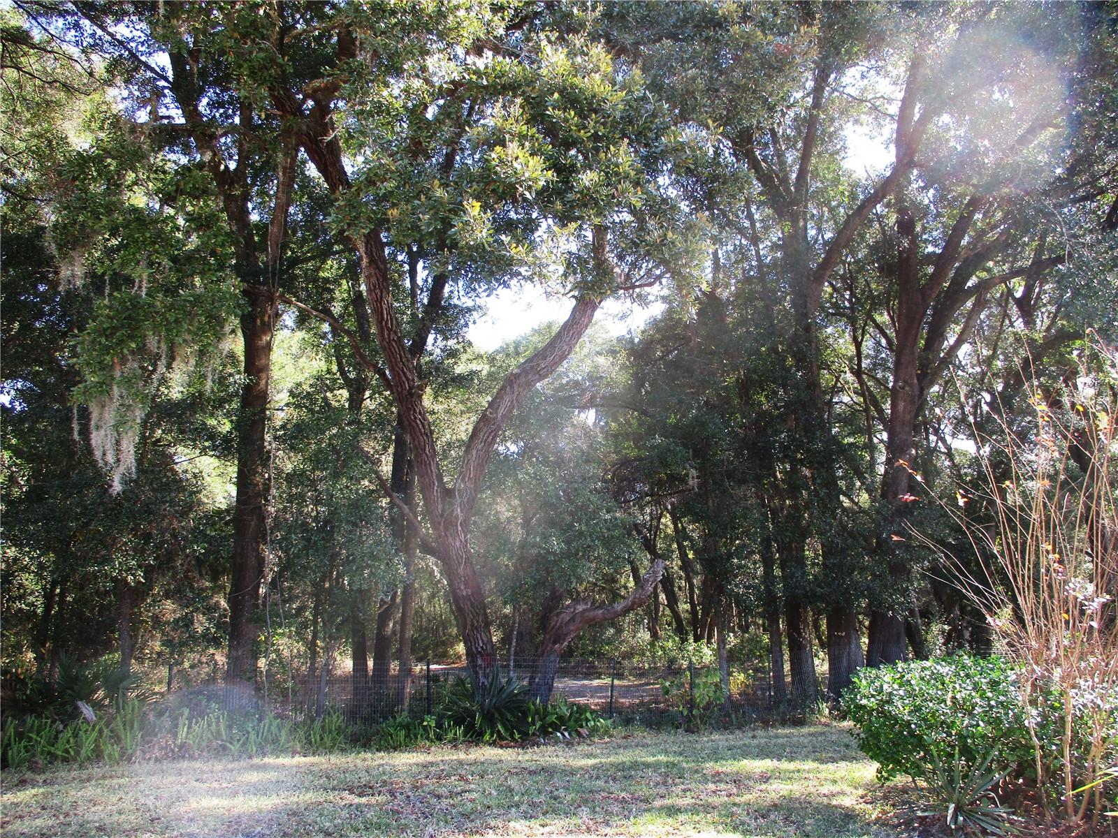 Image 2 of 77 For 14652 112th Circle