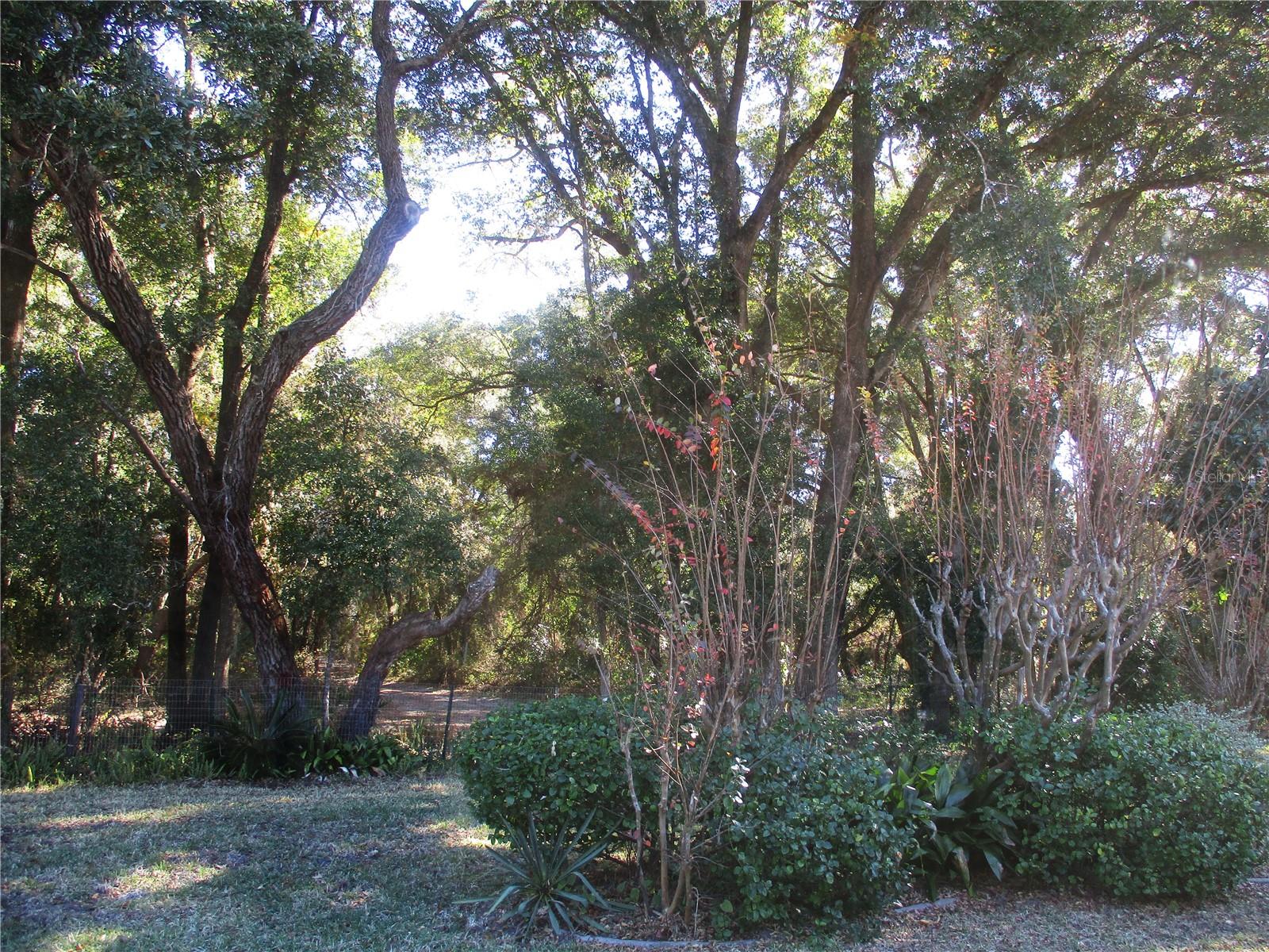 Image 55 of 77 For 14652 112th Circle