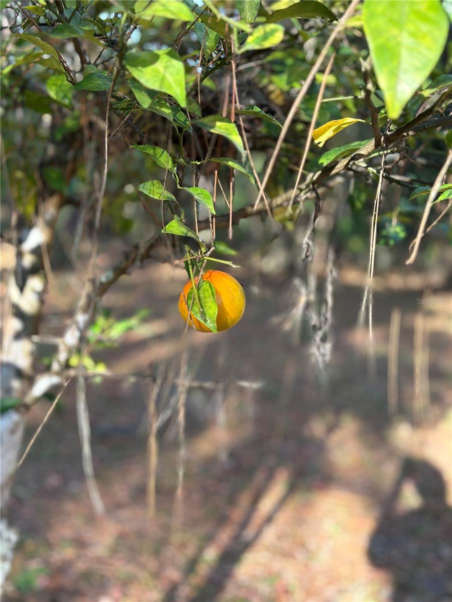 Image 18 of 19 For 7670 22nd Avenue