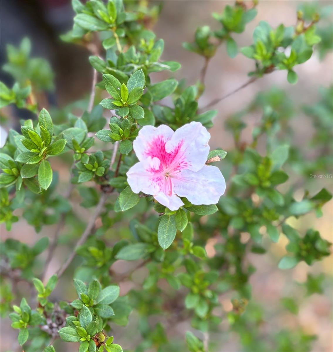 Image 19 of 19 For 7670 22nd Avenue