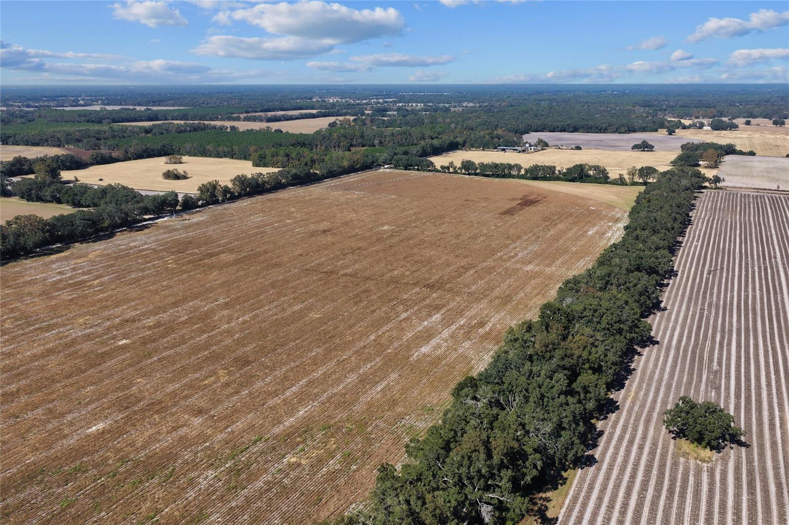 Image 13 of 19 For 150 Street