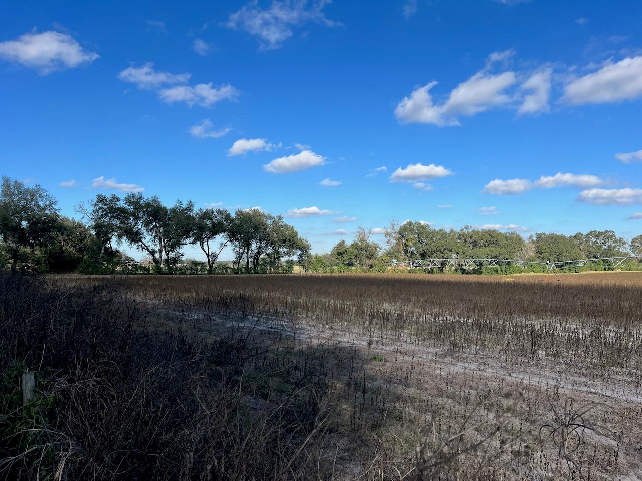 Image 2 of 19 For 150 Street