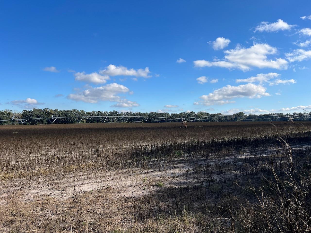 Image 3 of 19 For 150 Street