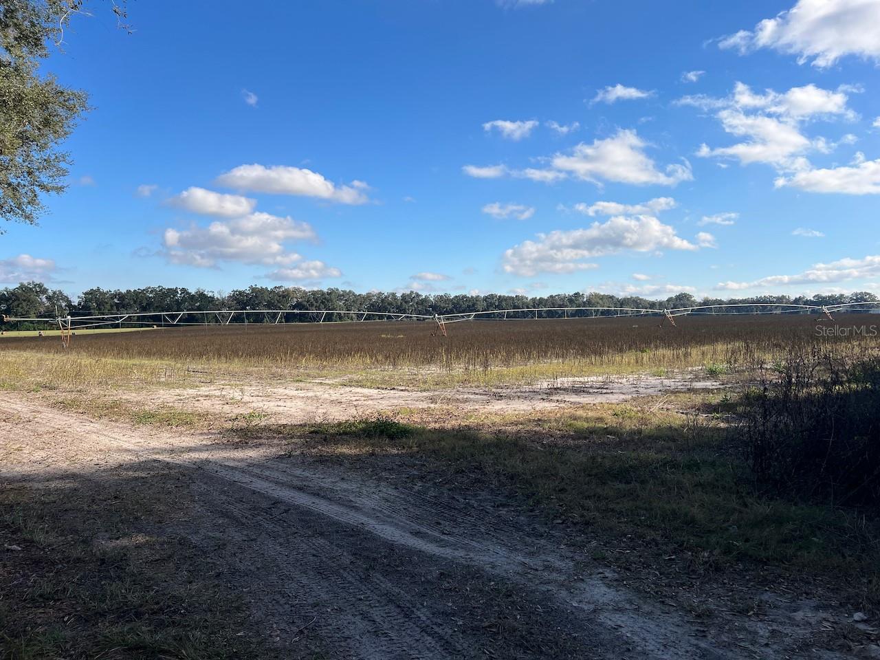 Image 5 of 19 For 150 Street