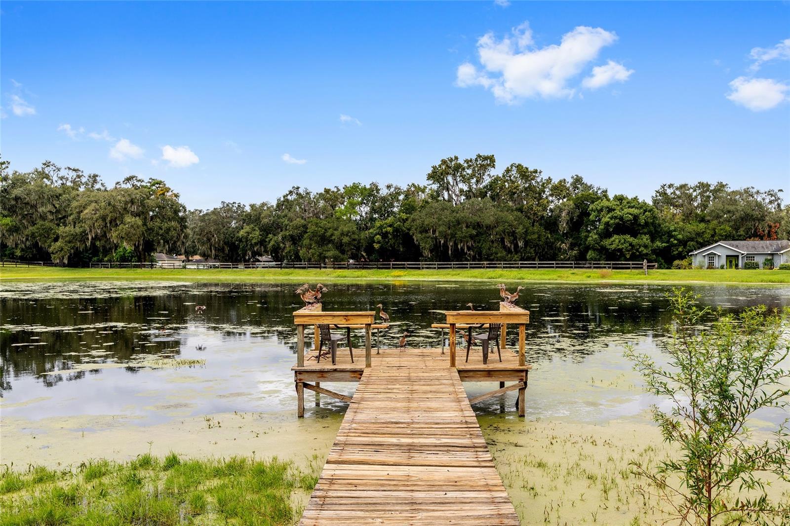 Image 55 of 75 For 12094 60th Avenue Road