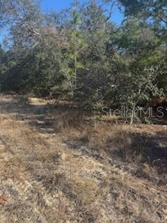 Image 2 of 2 For 6491 Killinger Terrace