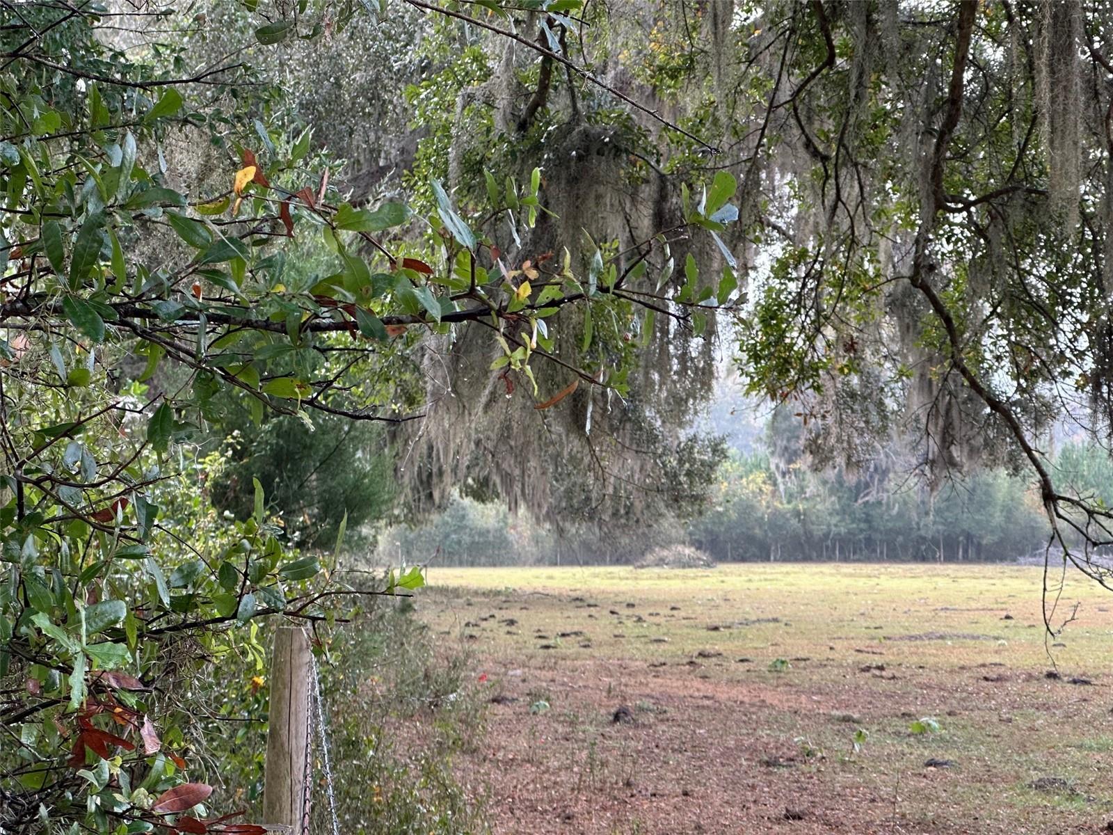 Image 6 of 14 For Tba 160th Avenue