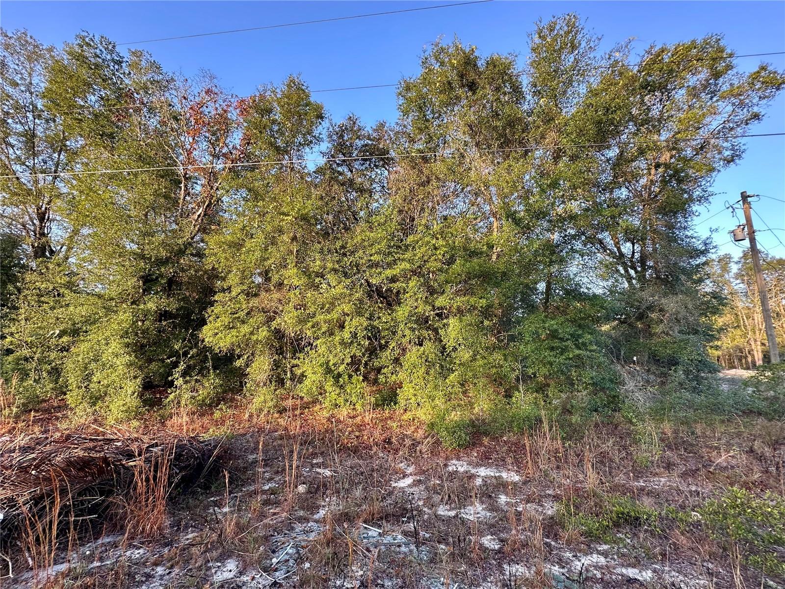 Image 6 of 13 For  16th Place 