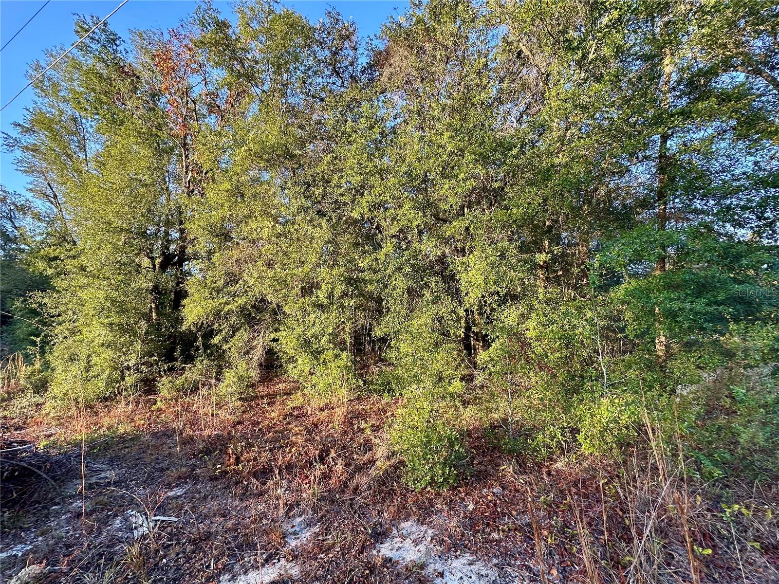 Image 7 of 13 For  16th Place 