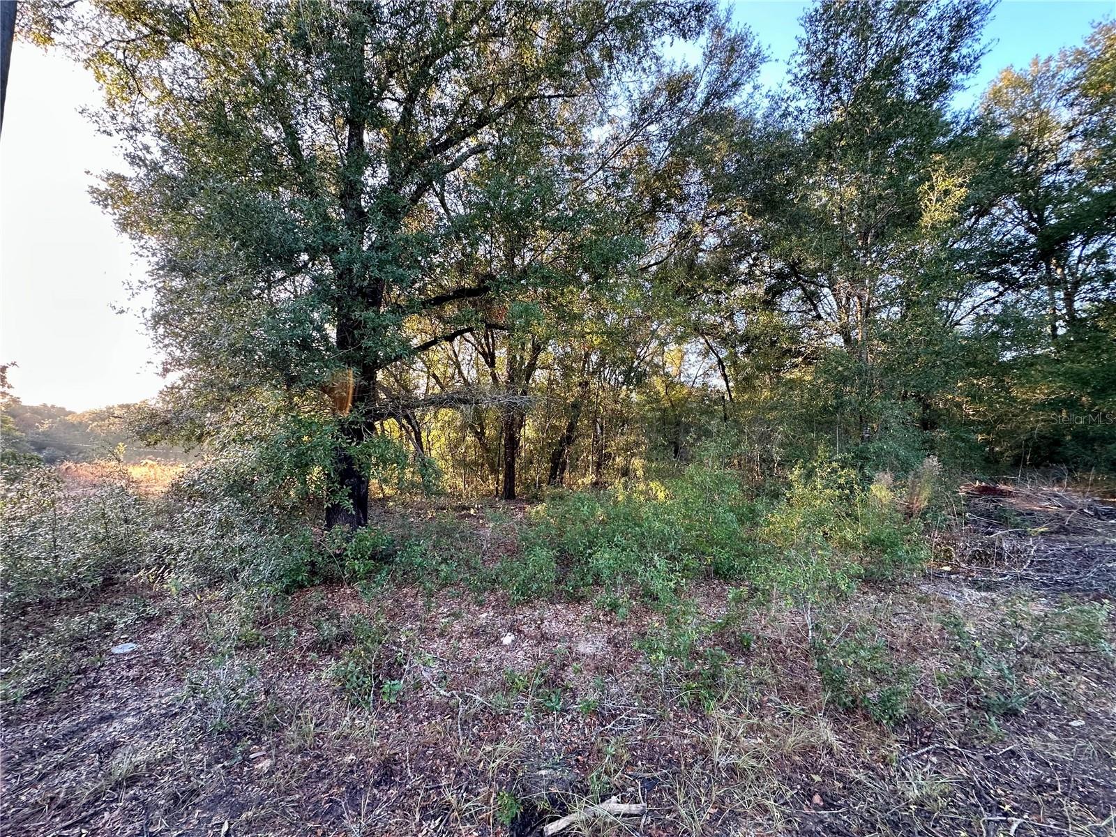 Image 8 of 13 For  16th Place 