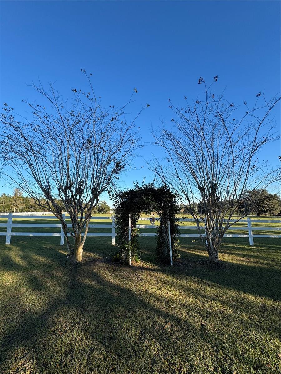 Image 7 of 42 For 17725 Powerline Road