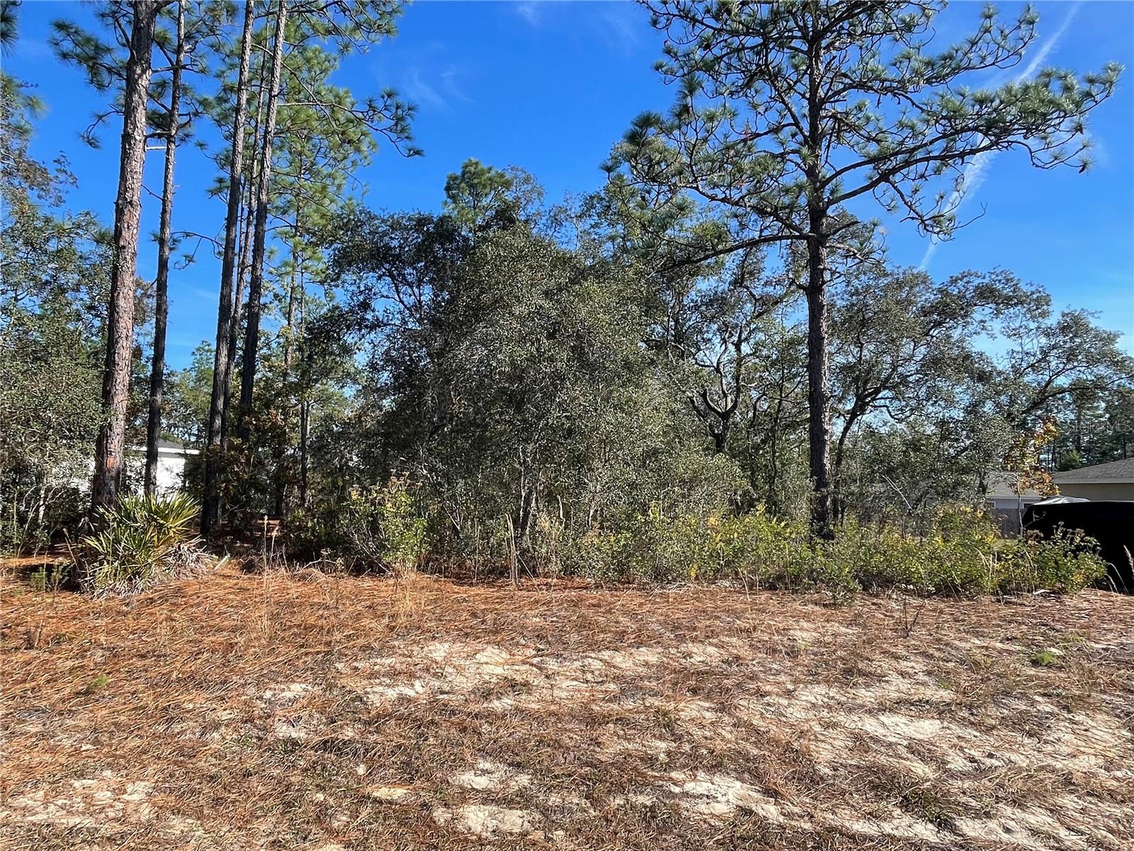 Image 2 of 5 For 11475 Kenney Loop