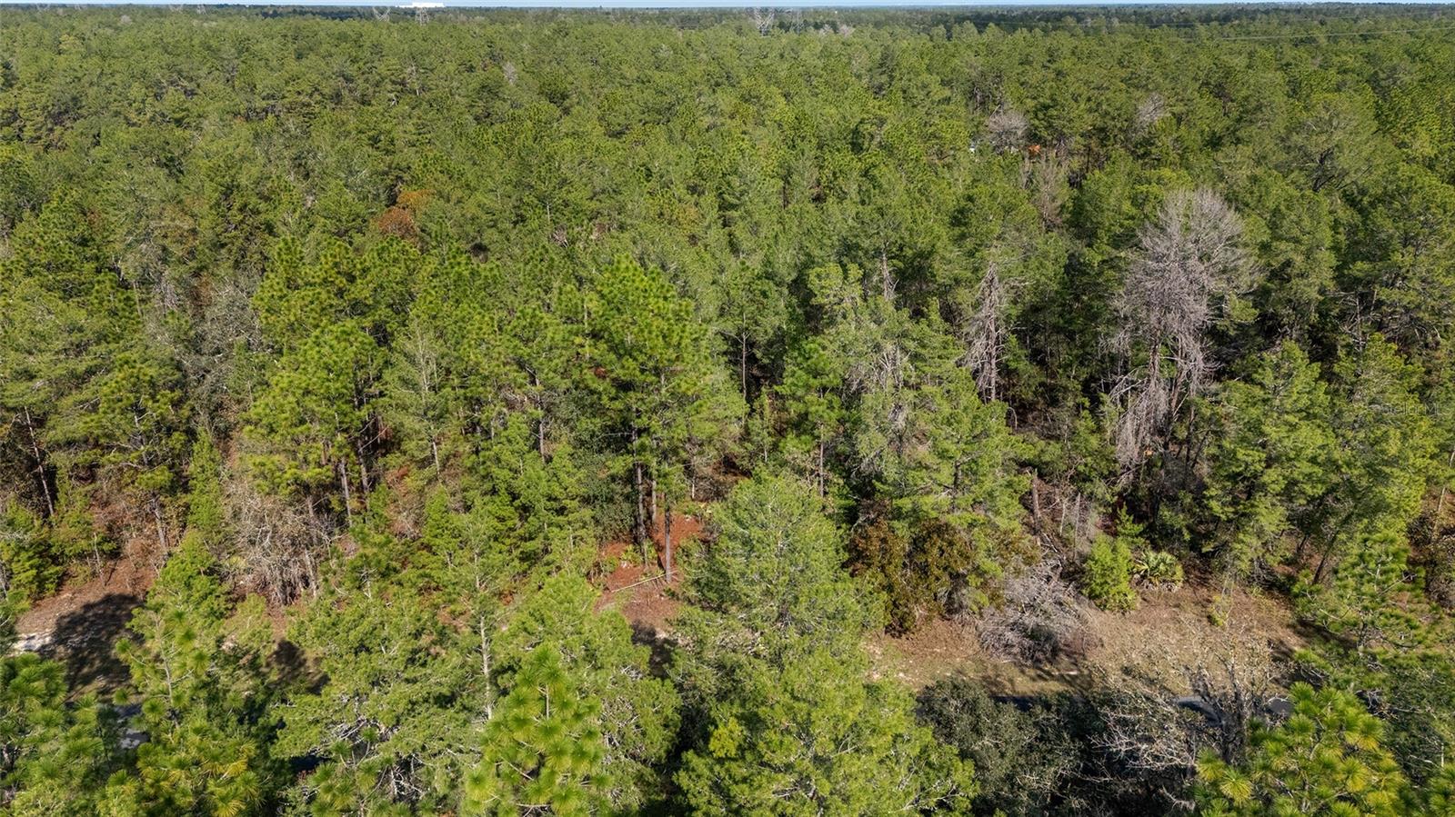 Image 19 of 19 For Sw 177th Street